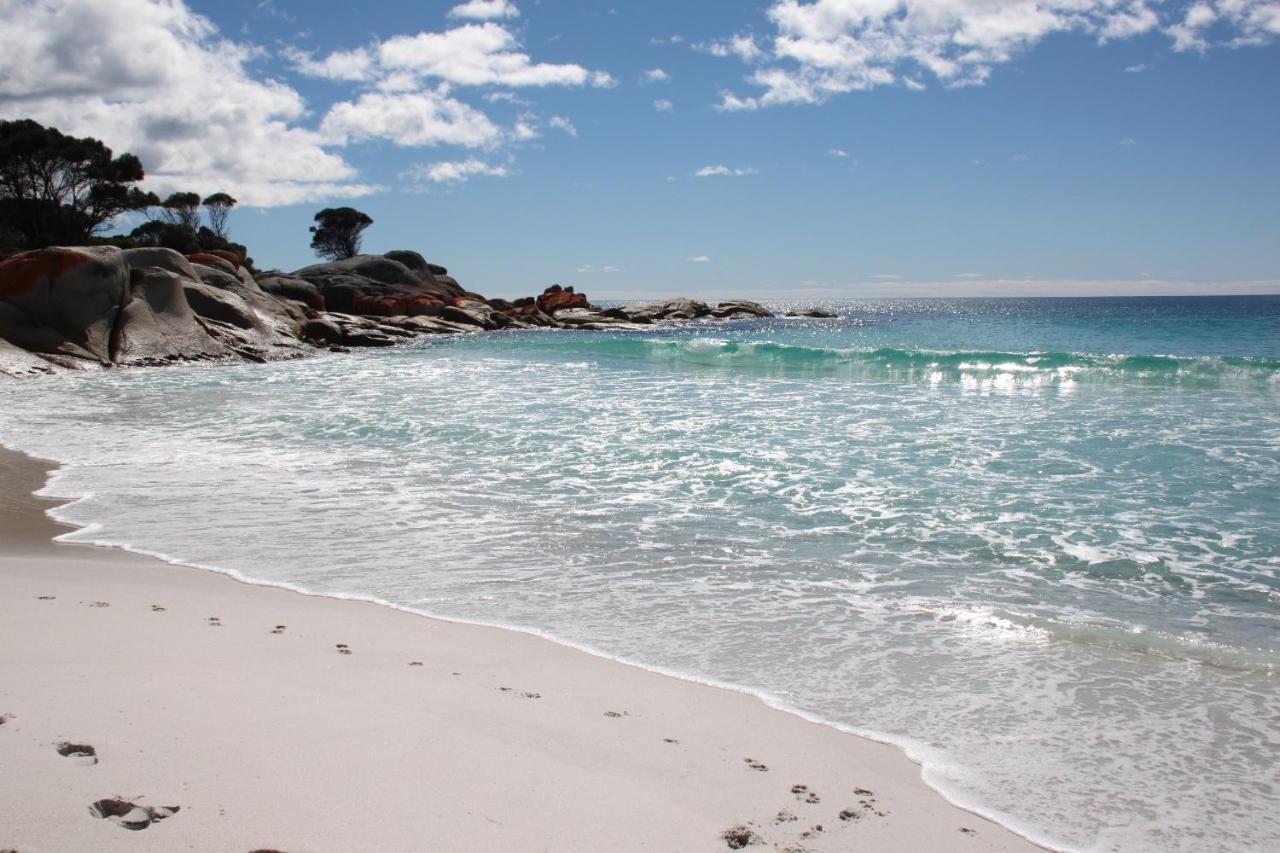 Binalong Beach Cottage Beachfront At Bay Of Fires Next To Restaurant Binalong Bay Екстер'єр фото